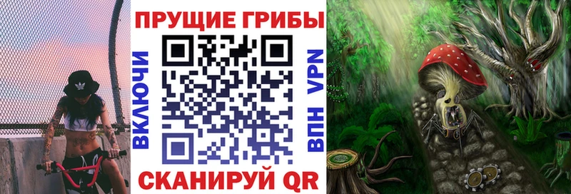 Псилоцибиновые грибы Psilocybine cubensis  blacksprut сайт  Кириши  что такое  